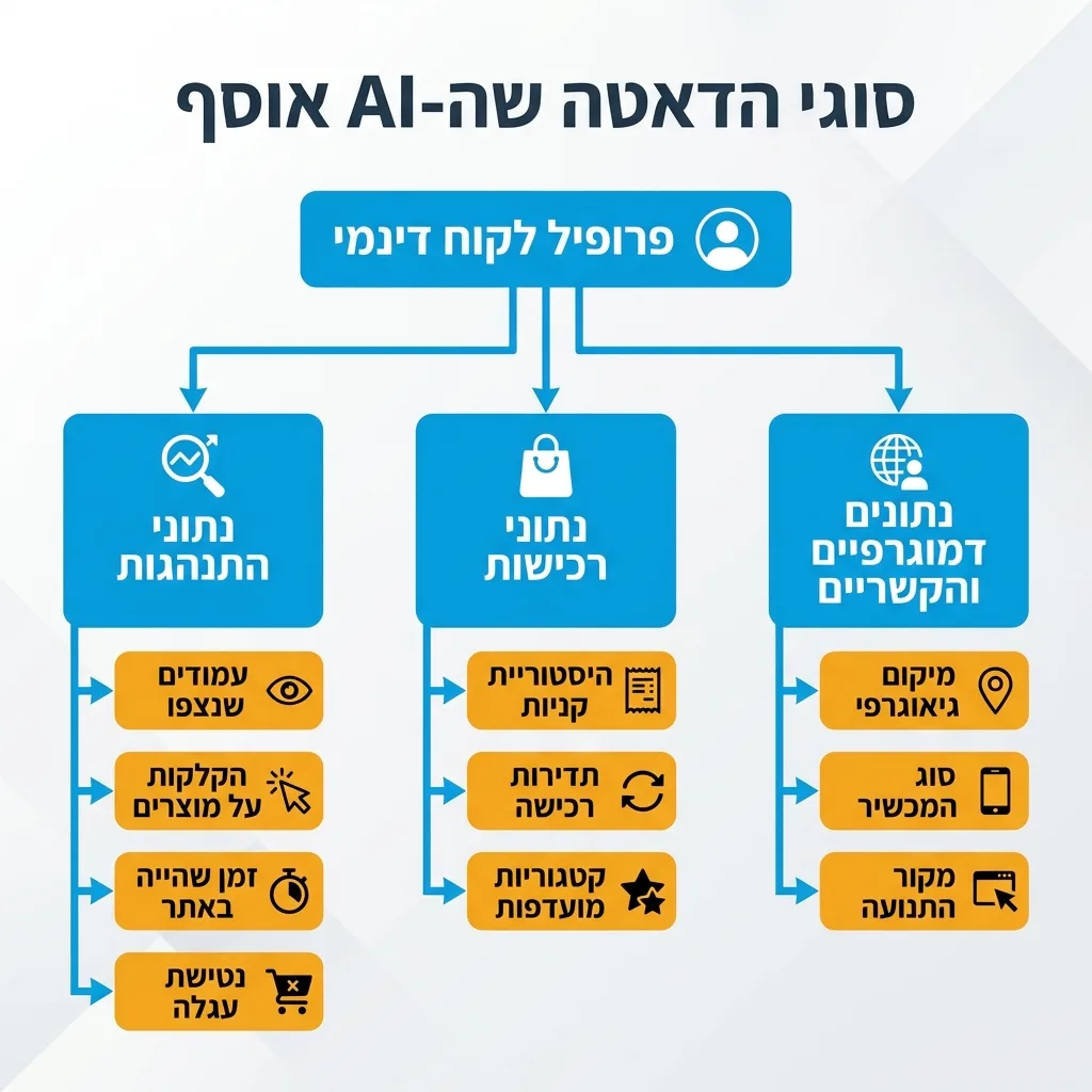 אינפוגרפיקה — סוגי הדאטה שה-AI אוסף: פרופיל לקוח דינמי